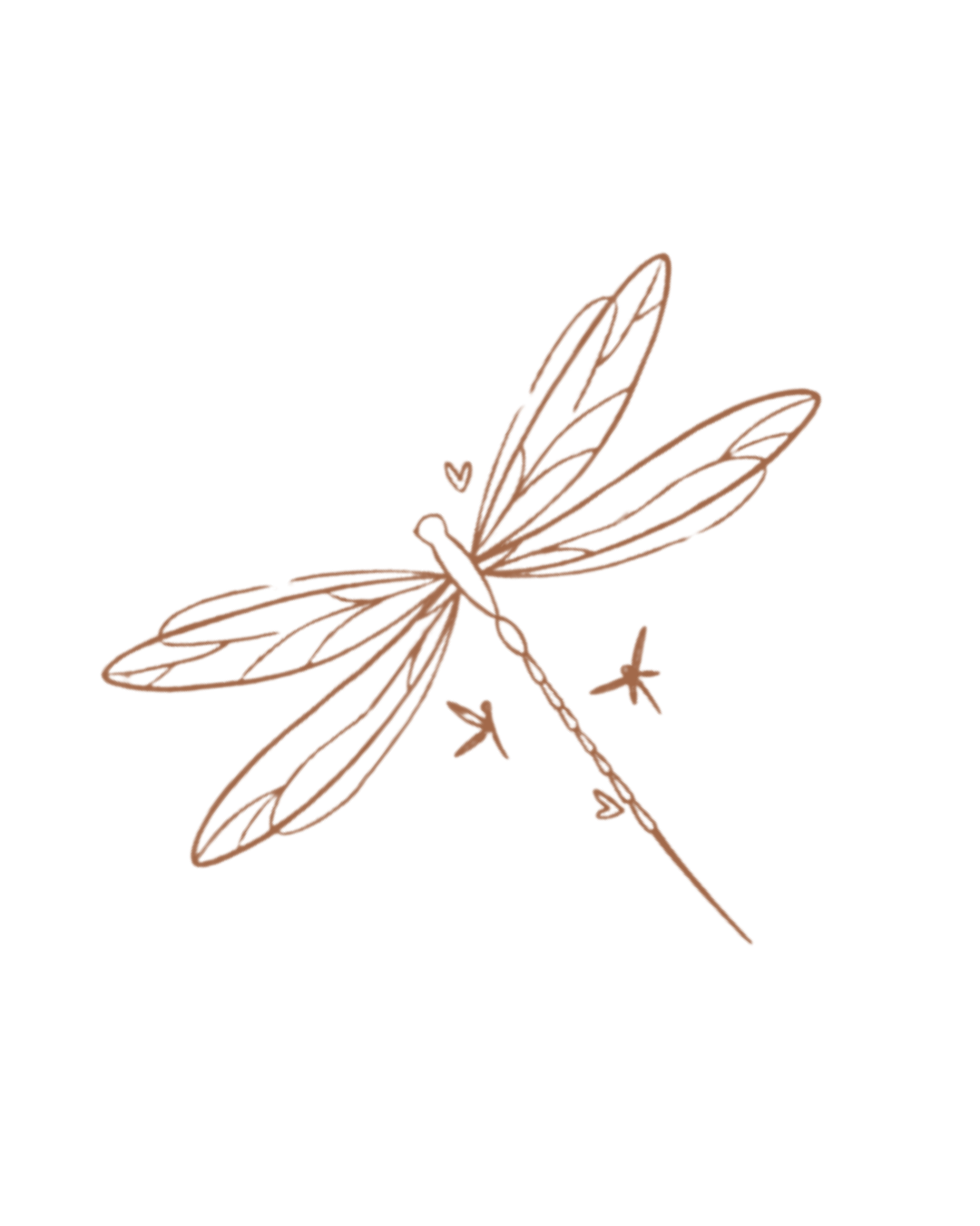 libellule 6